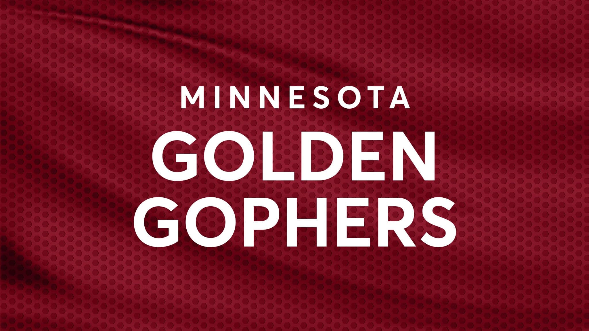 Minnesota Gophers Football vs. Mississippi State Bulldogs Football