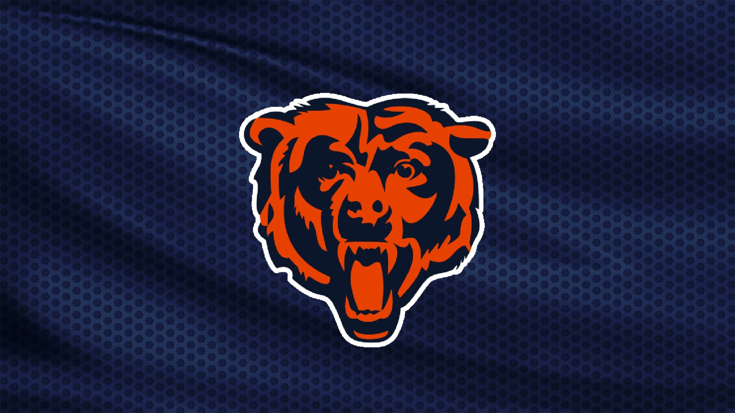 Chicago Bears vs. Minnesota Vikings