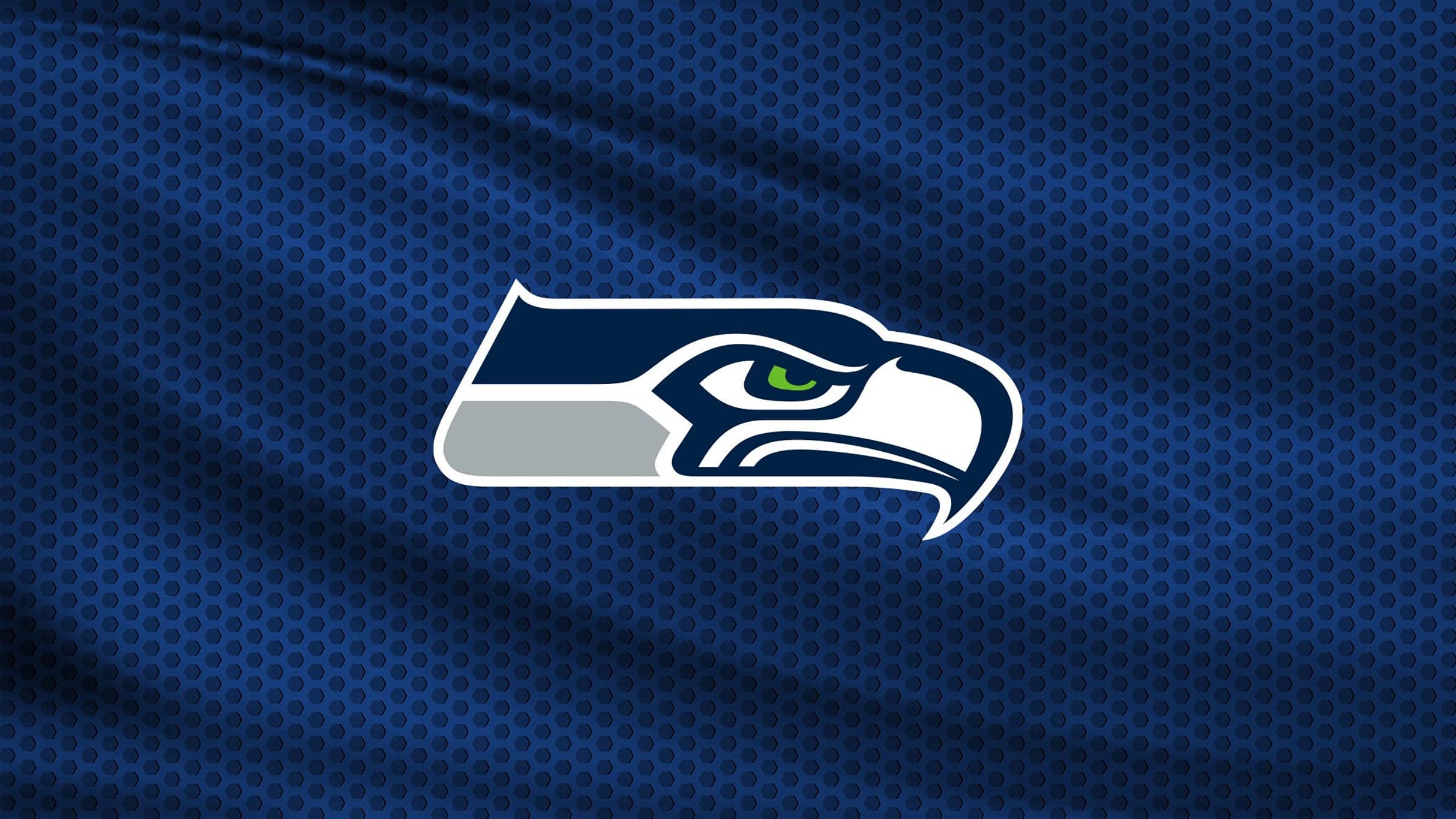 Seattle Seahawks vs. New England Patriots