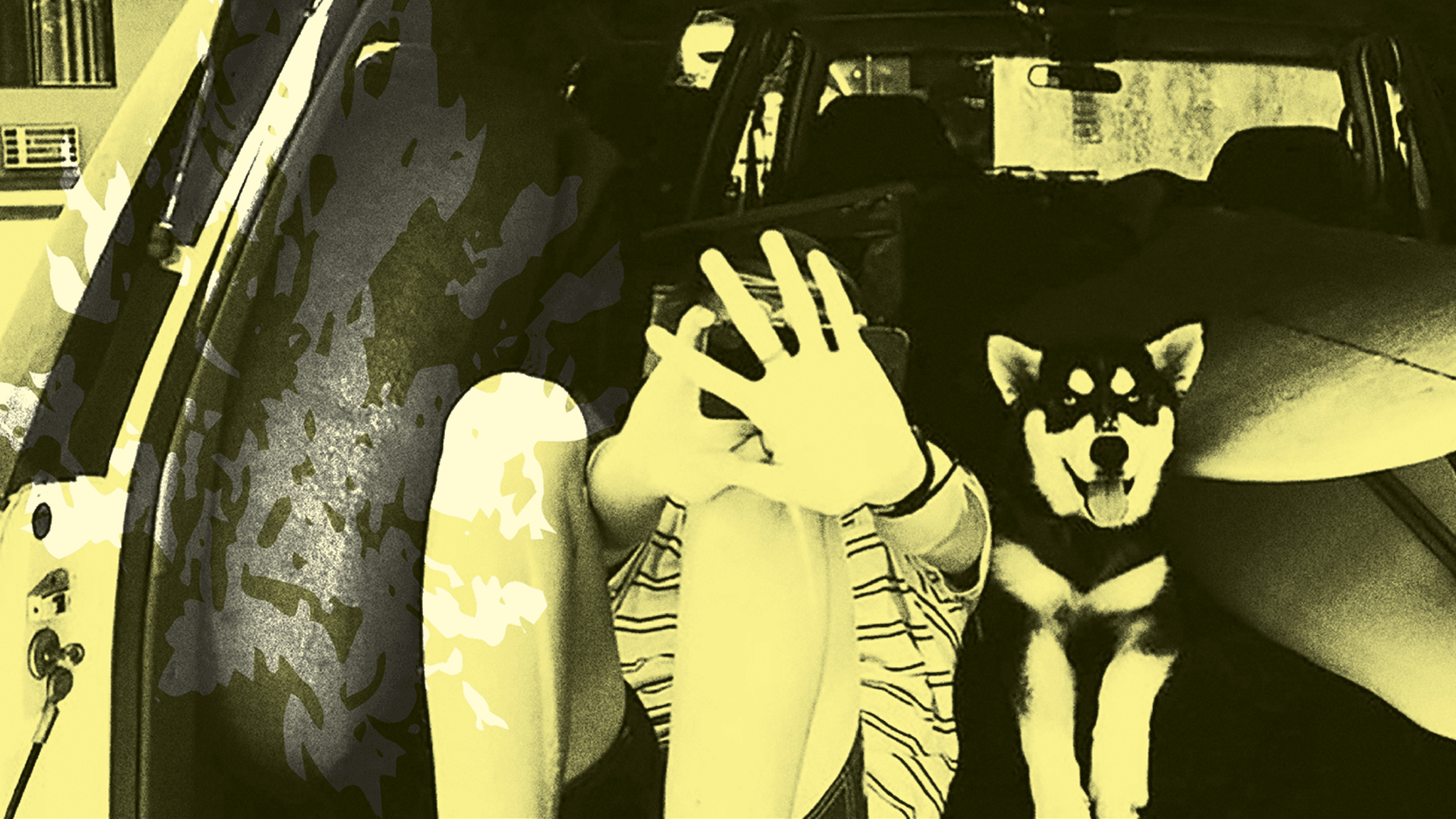 Throwing Muses (18+)