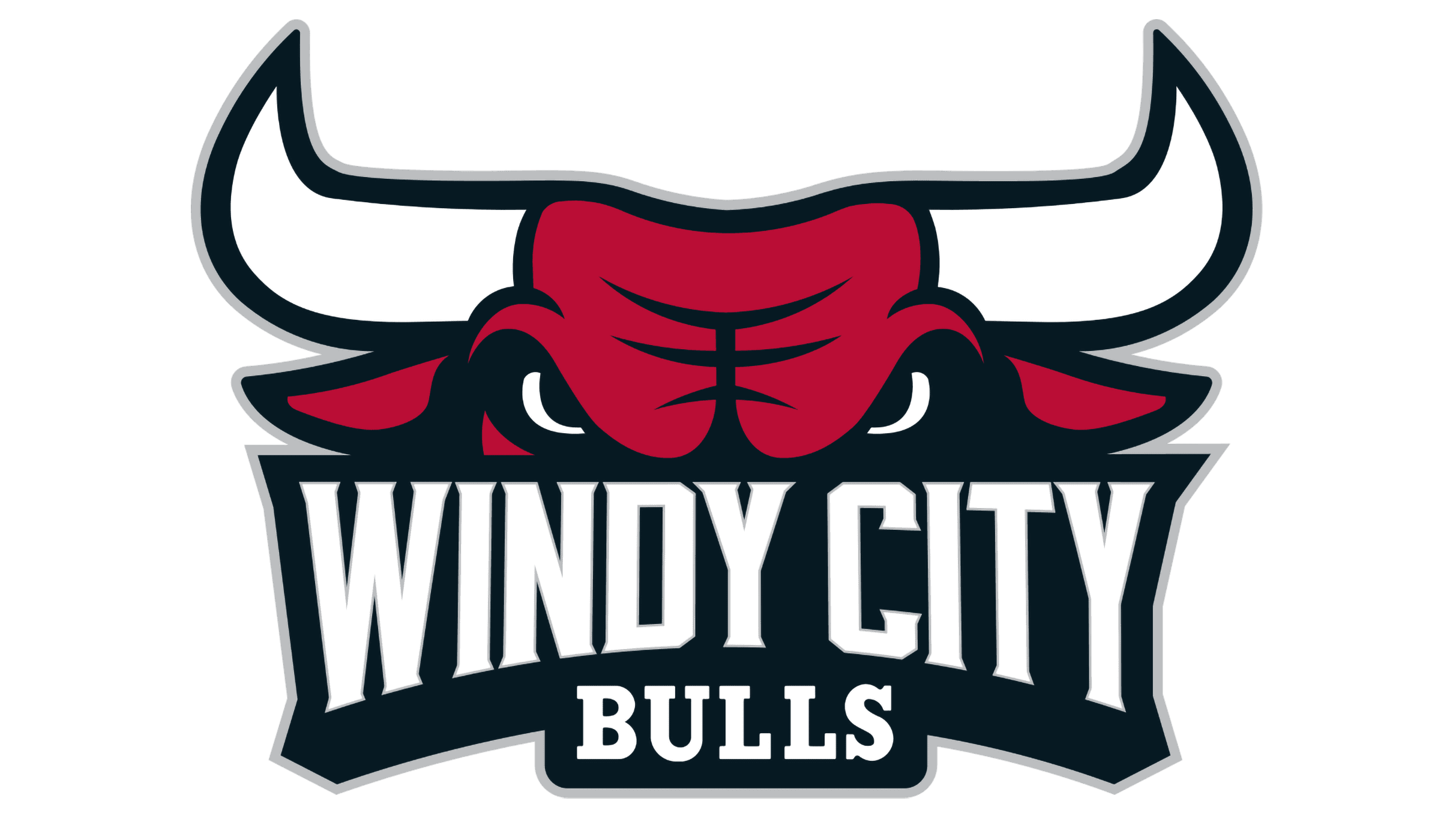 Windy City Bulls vs. Rio Grande Valley Vipers
