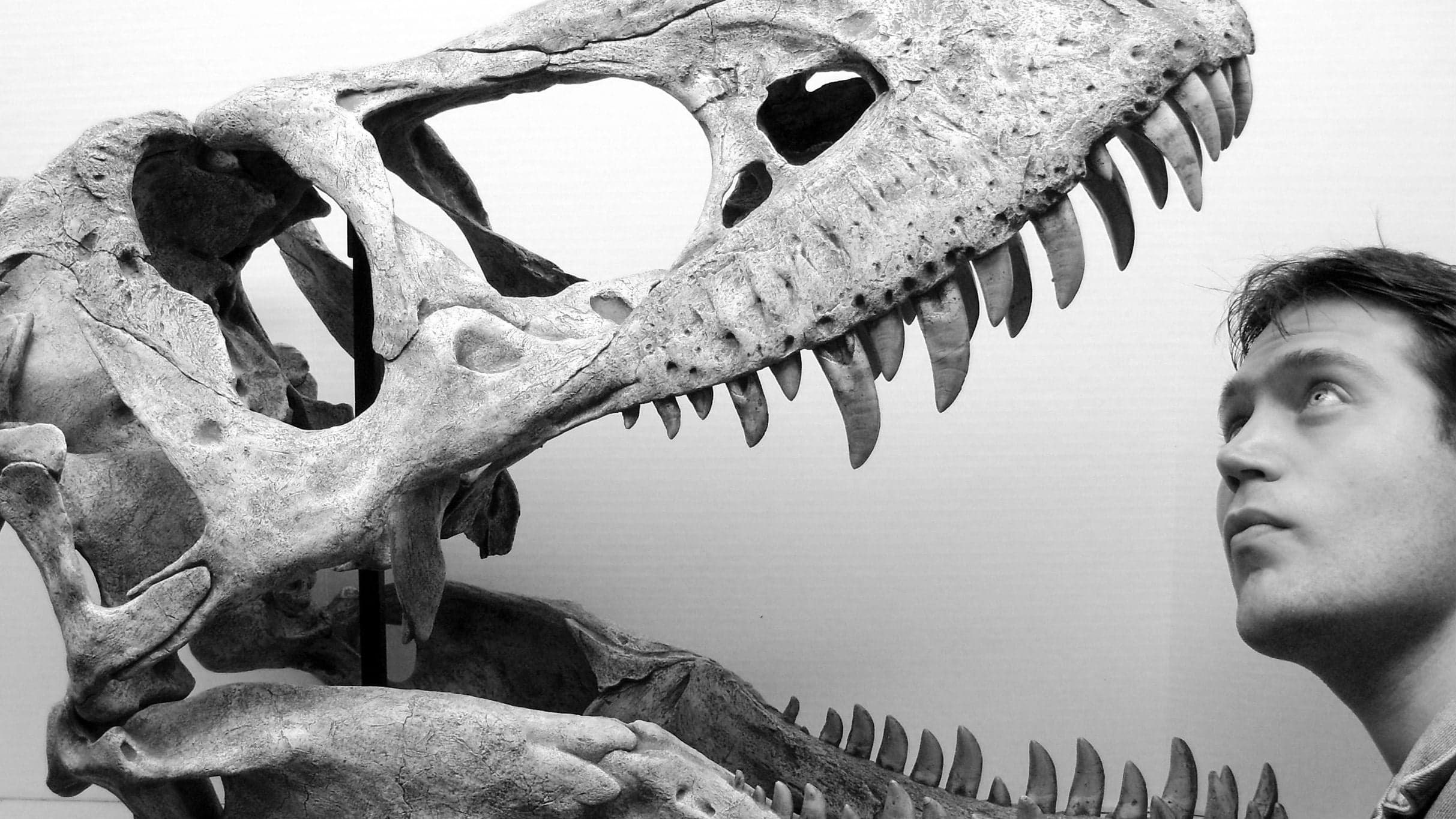 National Geographic Live: Untold Story of Sharks w/ Jess Cramp