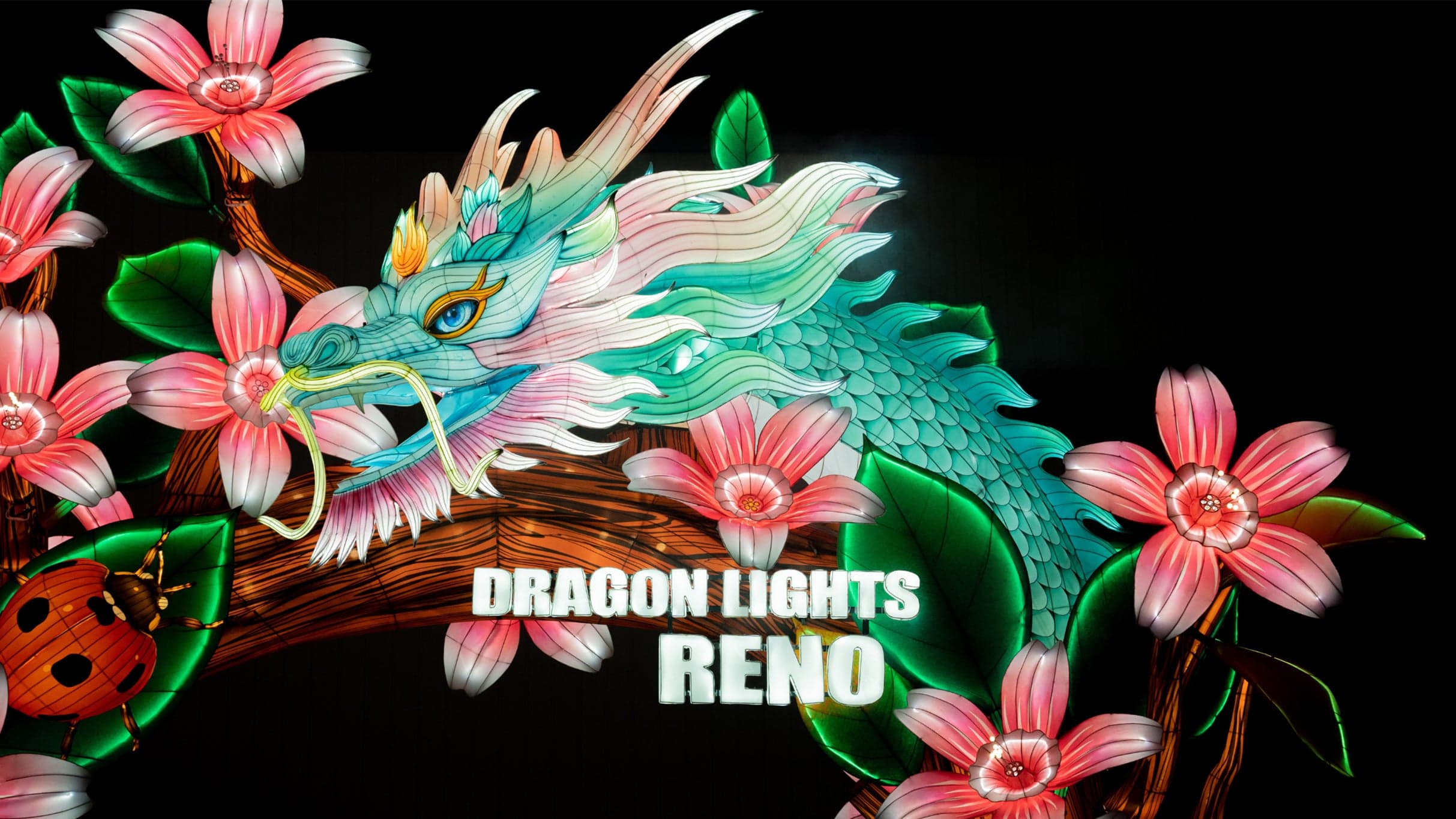 Dragon Lights 2026 Season Pass