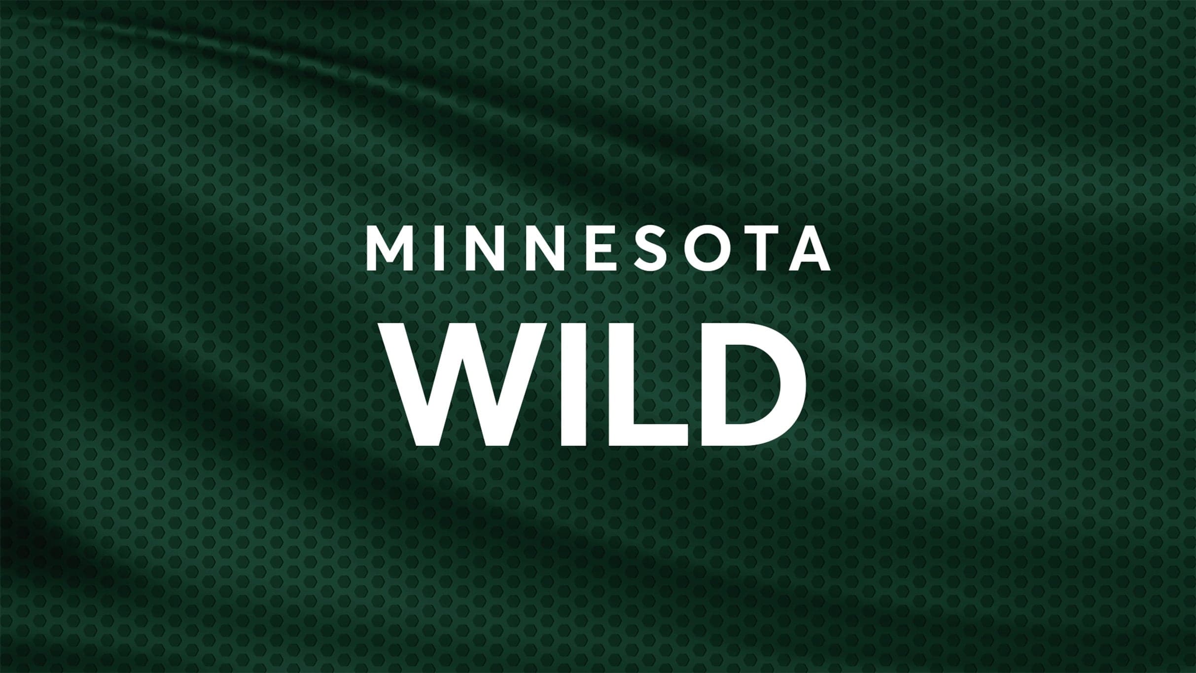 Minnesota Wild vs. Chicago Blackhawks