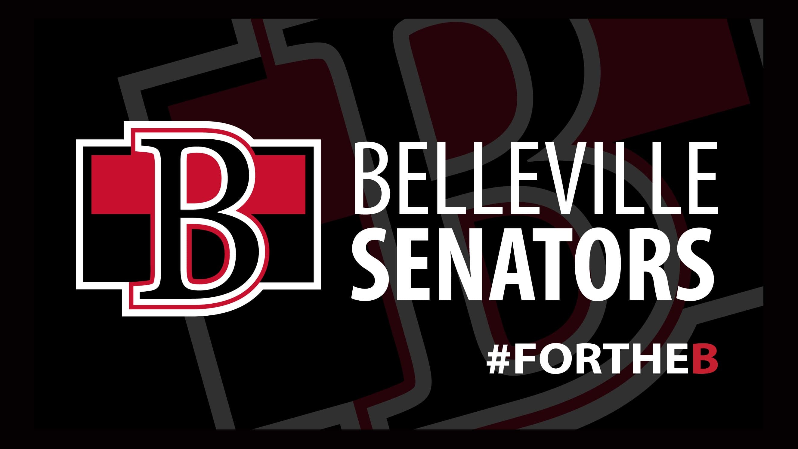 Belleville Senators V Hamilton Hammers