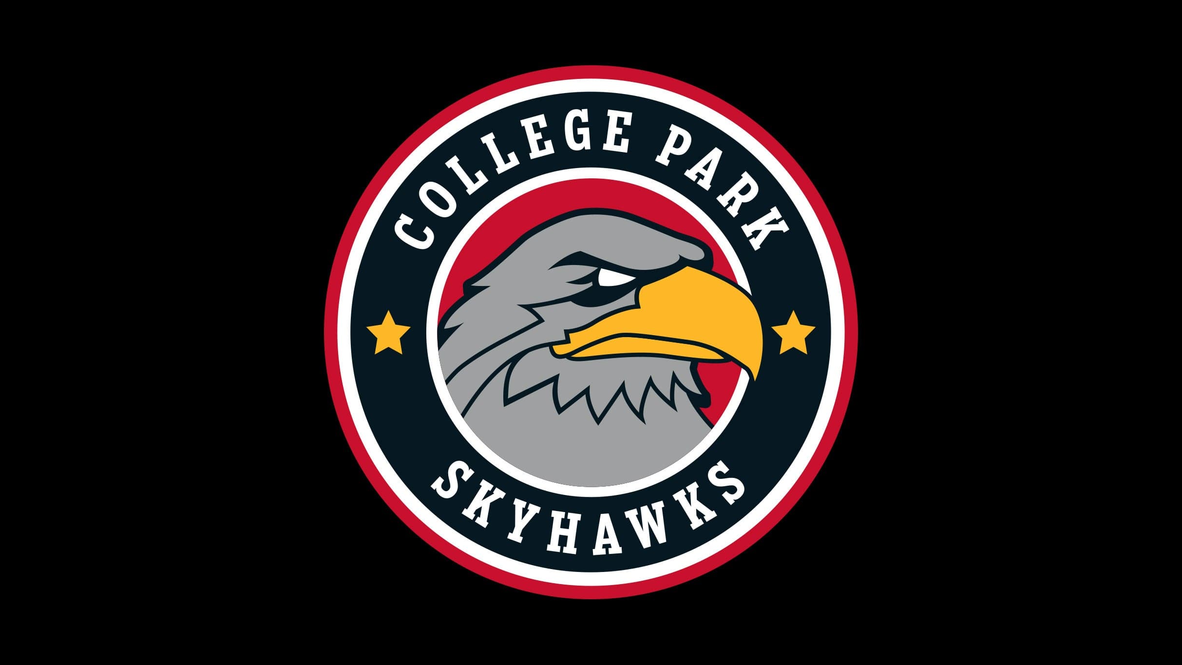 College Park Skyhawks vs. Austin Spurs