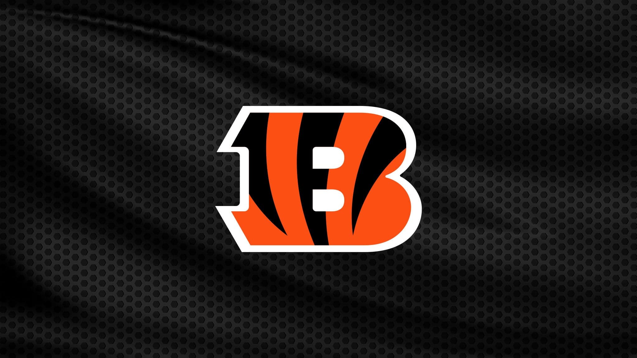 Cincinnati Bengals Training Camp