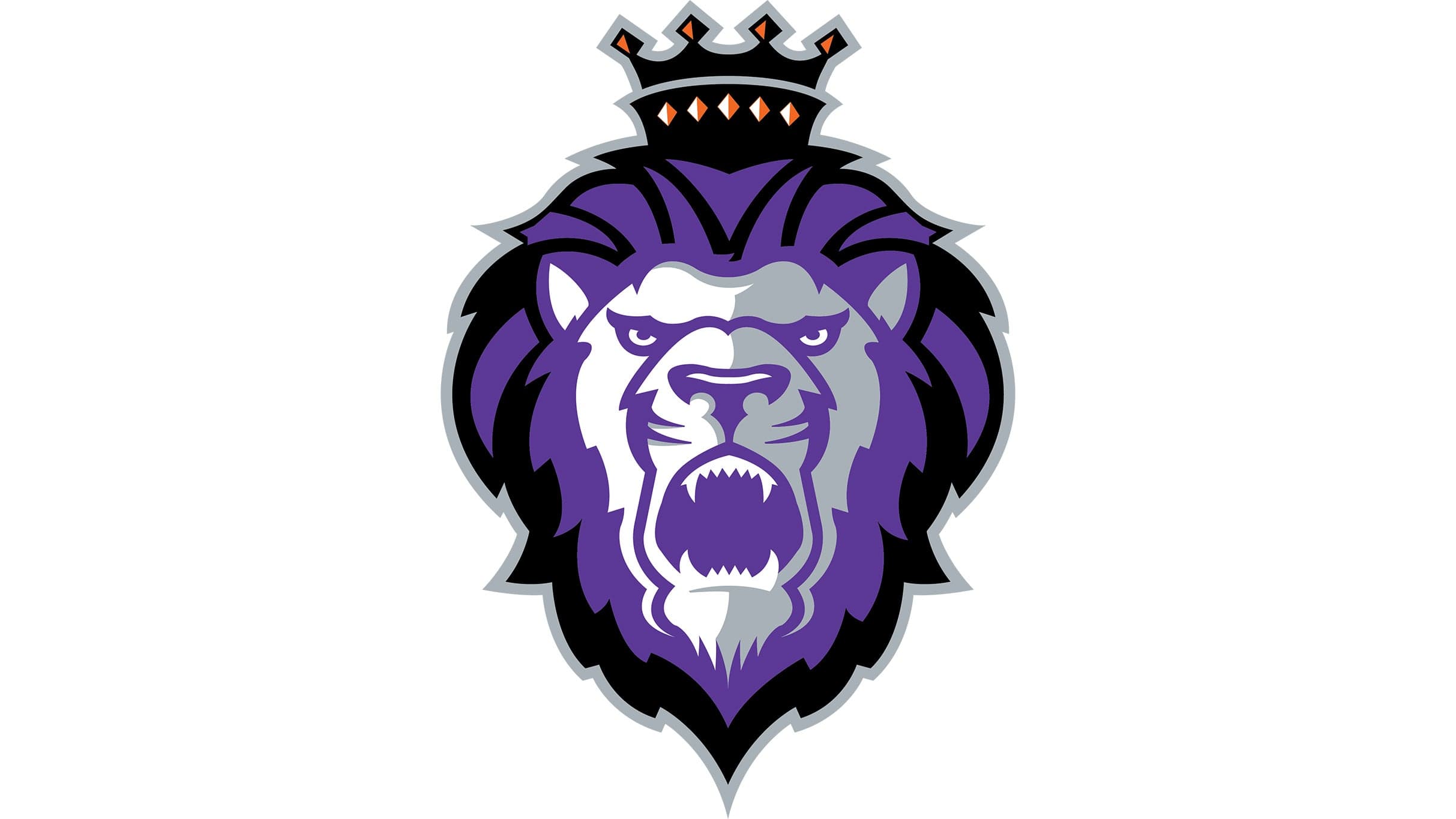 Reading Royals vs. Worcester Railers