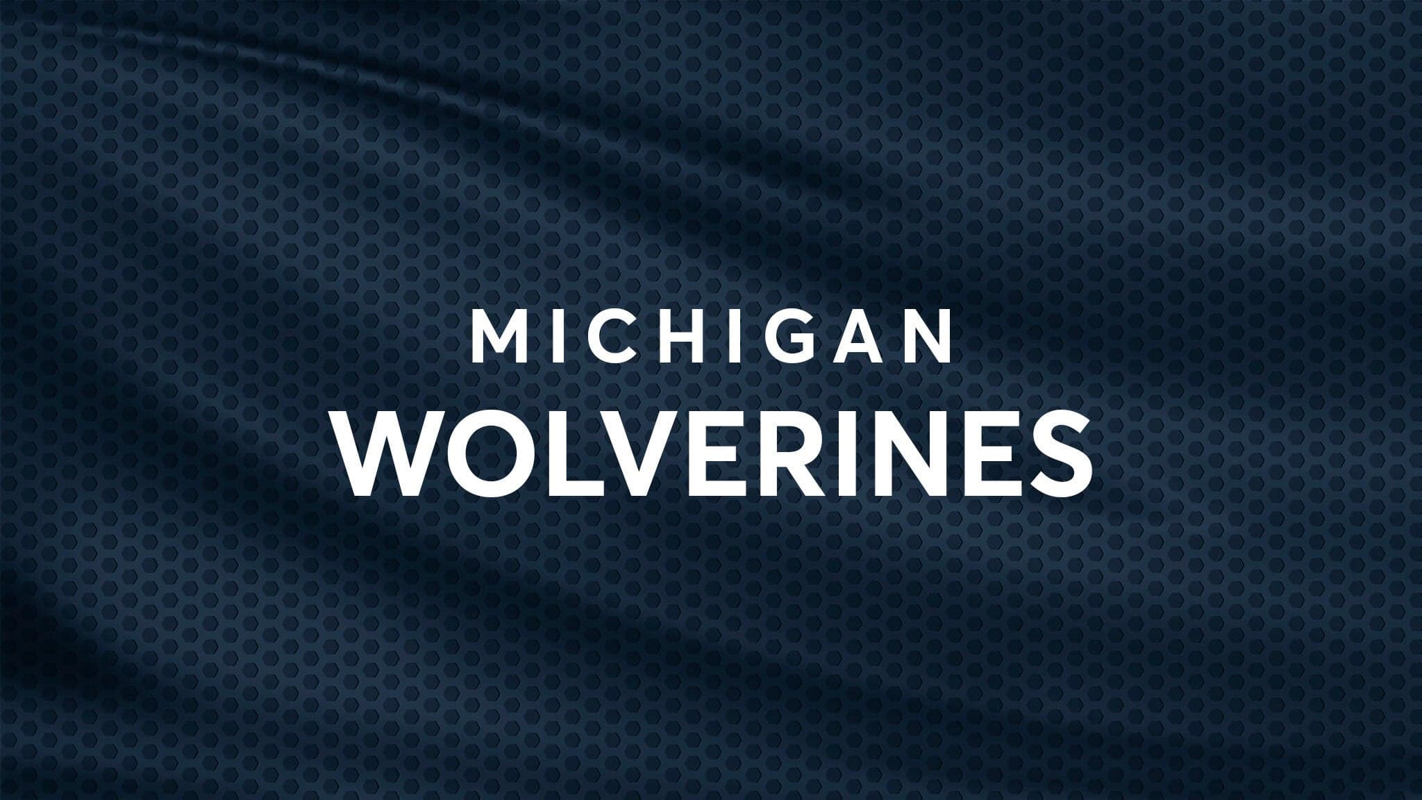 Michigan Wolverines Womens Volleyball vs. LIU Sharks Womens Volleyball