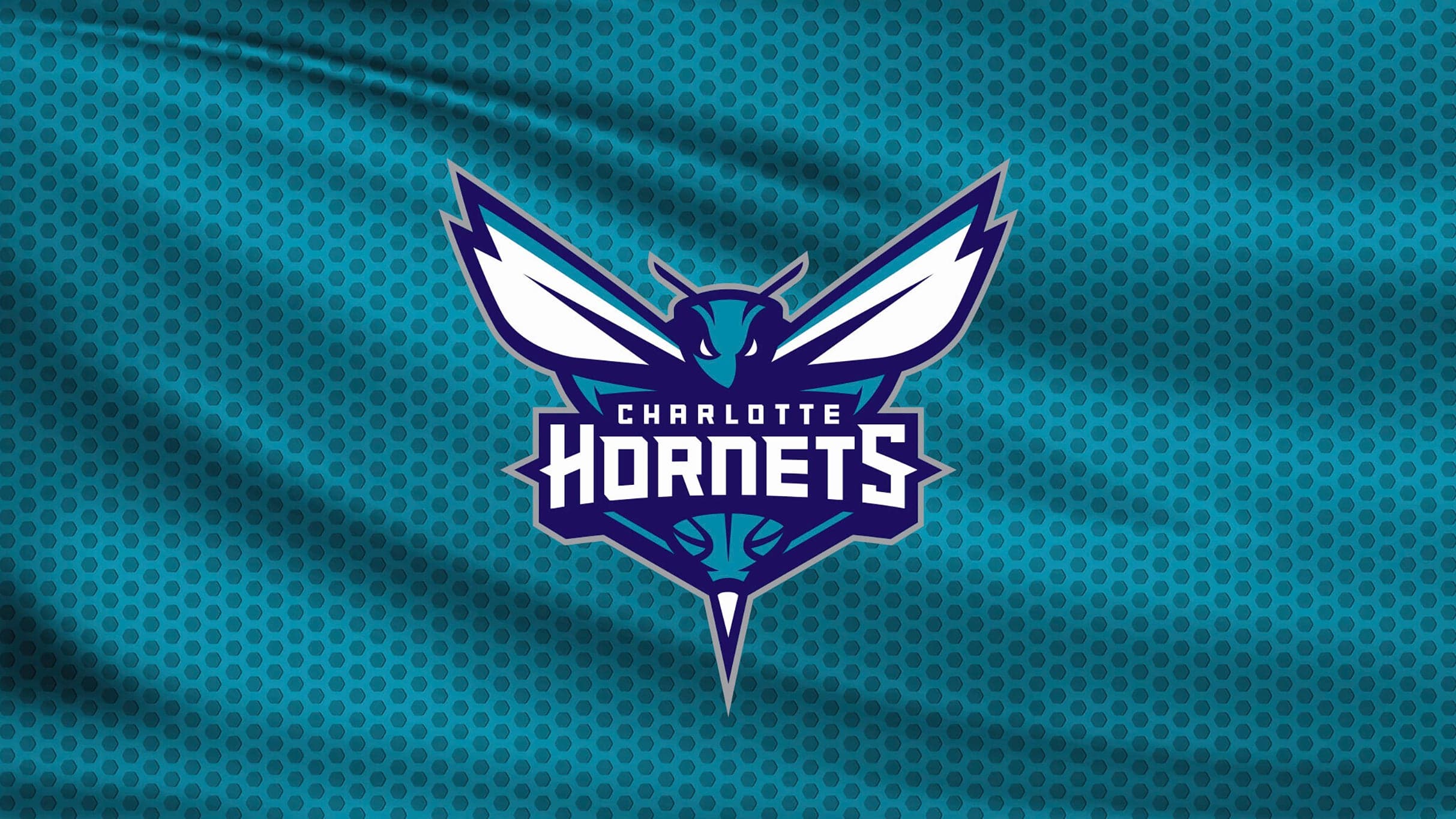 Charlotte Hornets vs. Miami Heat