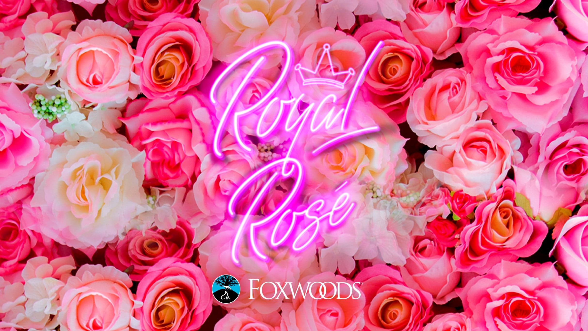 Royal Rose 