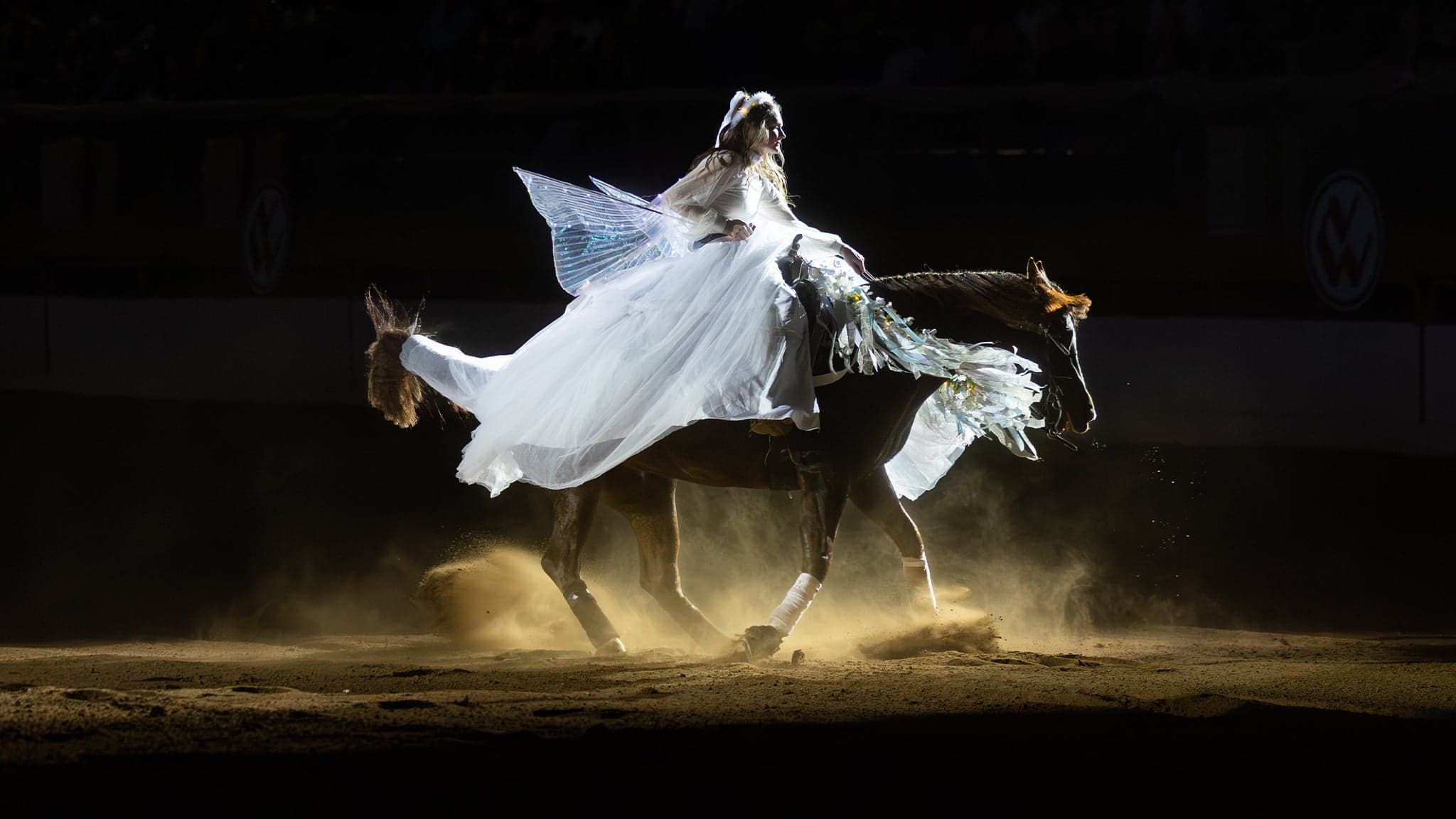 Freestyle Reining - Sun. Jan. 10 3pm
