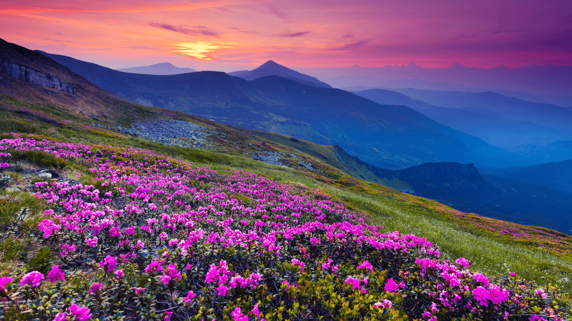 North Carolina Symphony - Appalachian Spring