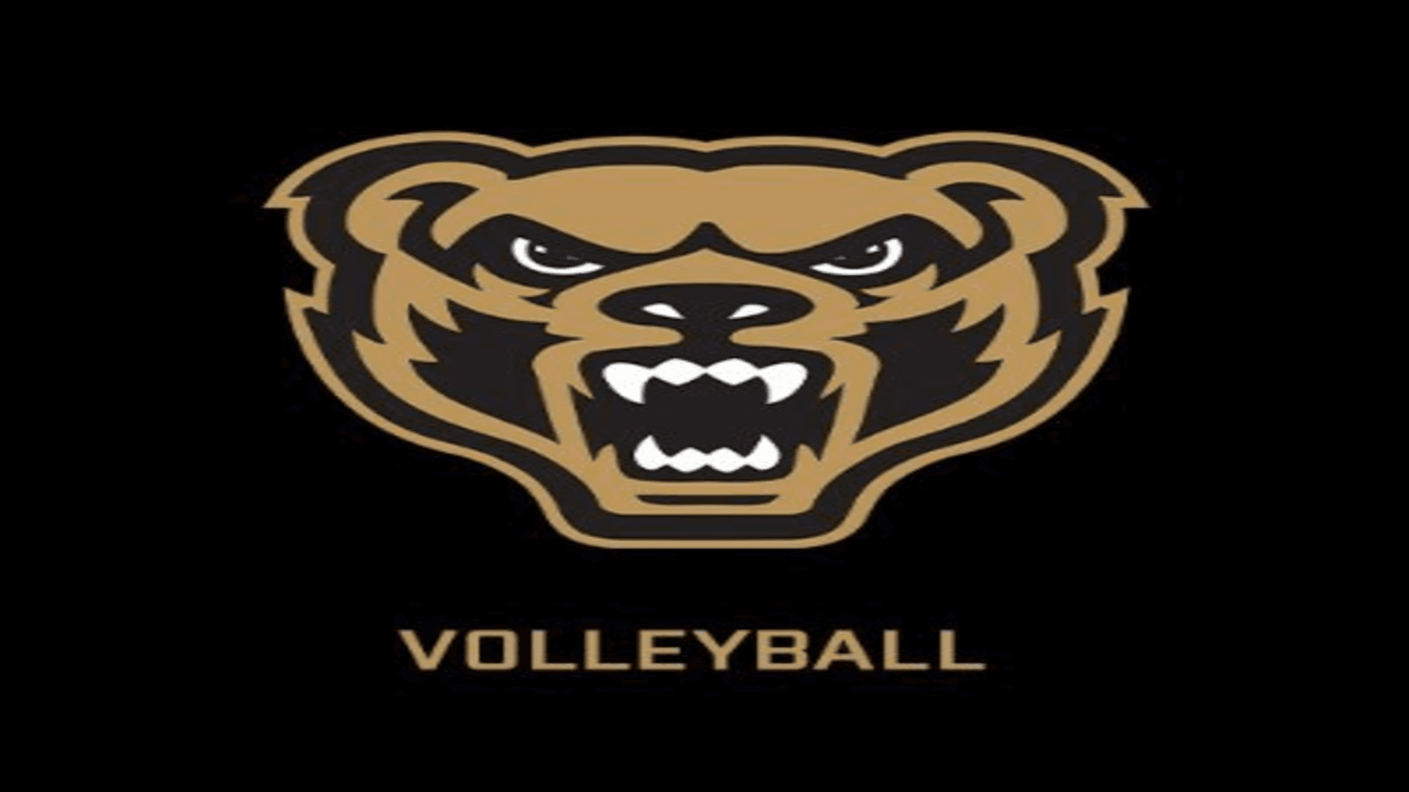 Oakland University Golden Grizzlies Volleyball vs. Marist Red Foxes Womens Volleyball