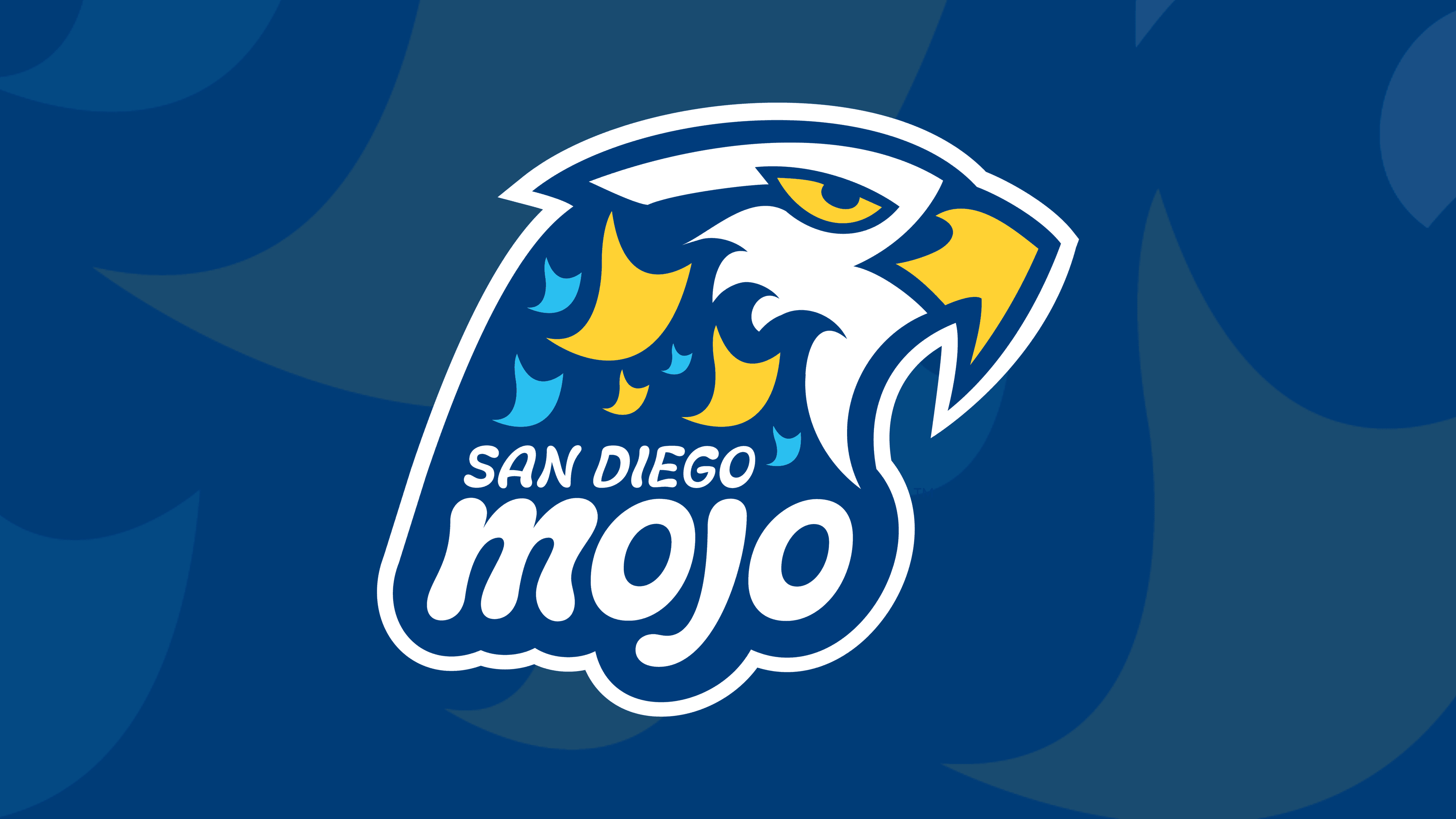 San Diego Mojo vs Atlanta Vibe