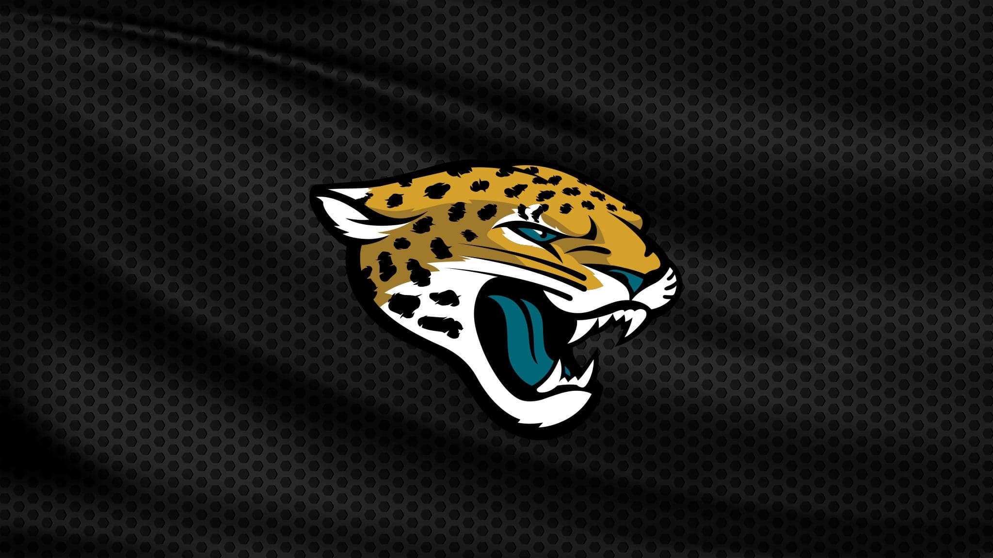 Preseason Game 2: Jacksonville Jaguars v Tampa Bay Buccaneers