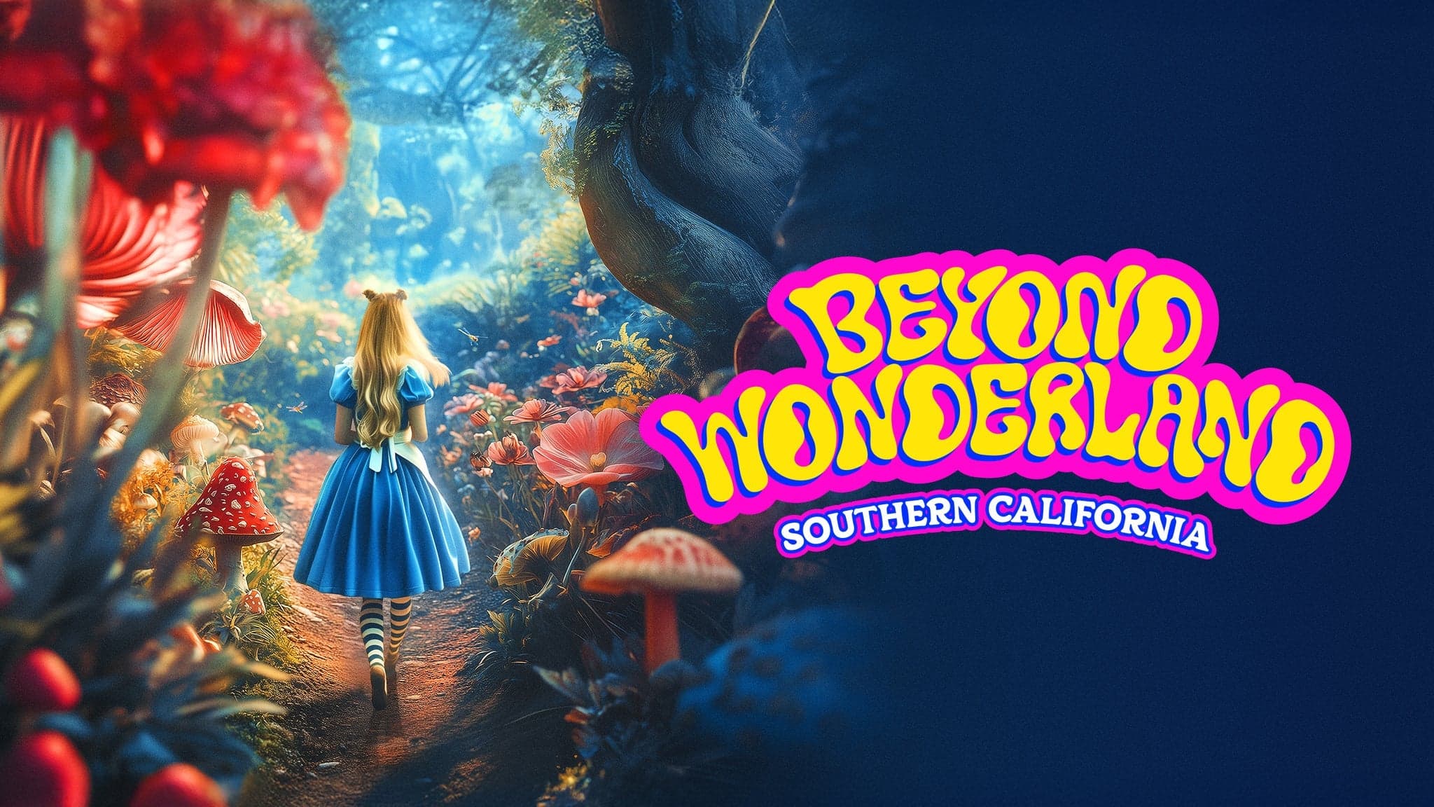 Beyond Wonderland