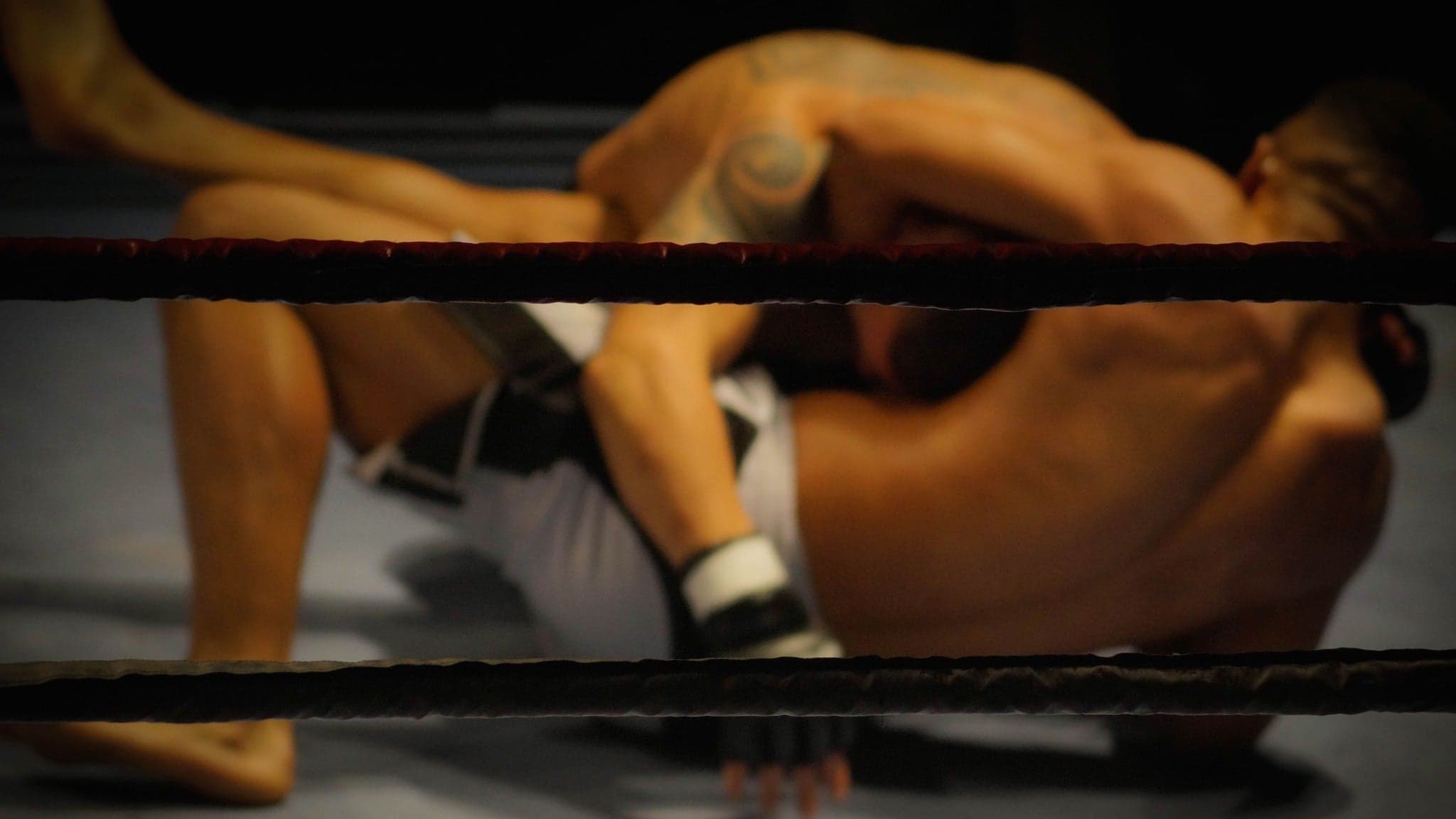 Ohio Combat League: Muay Thai & Championship Boxing