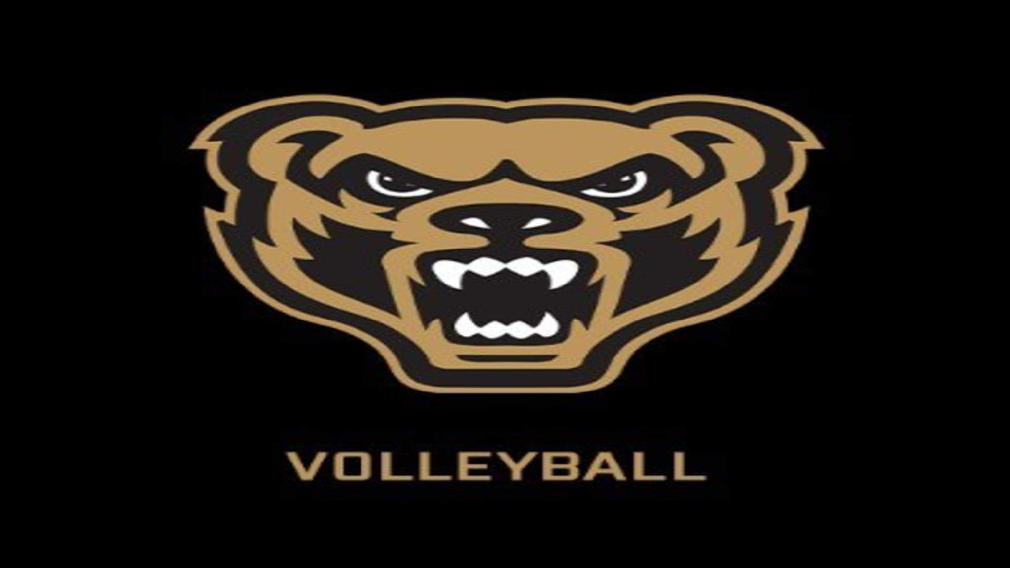 Oakland University Golden Grizzlies Volleyball vs. Wright State University Volleyball