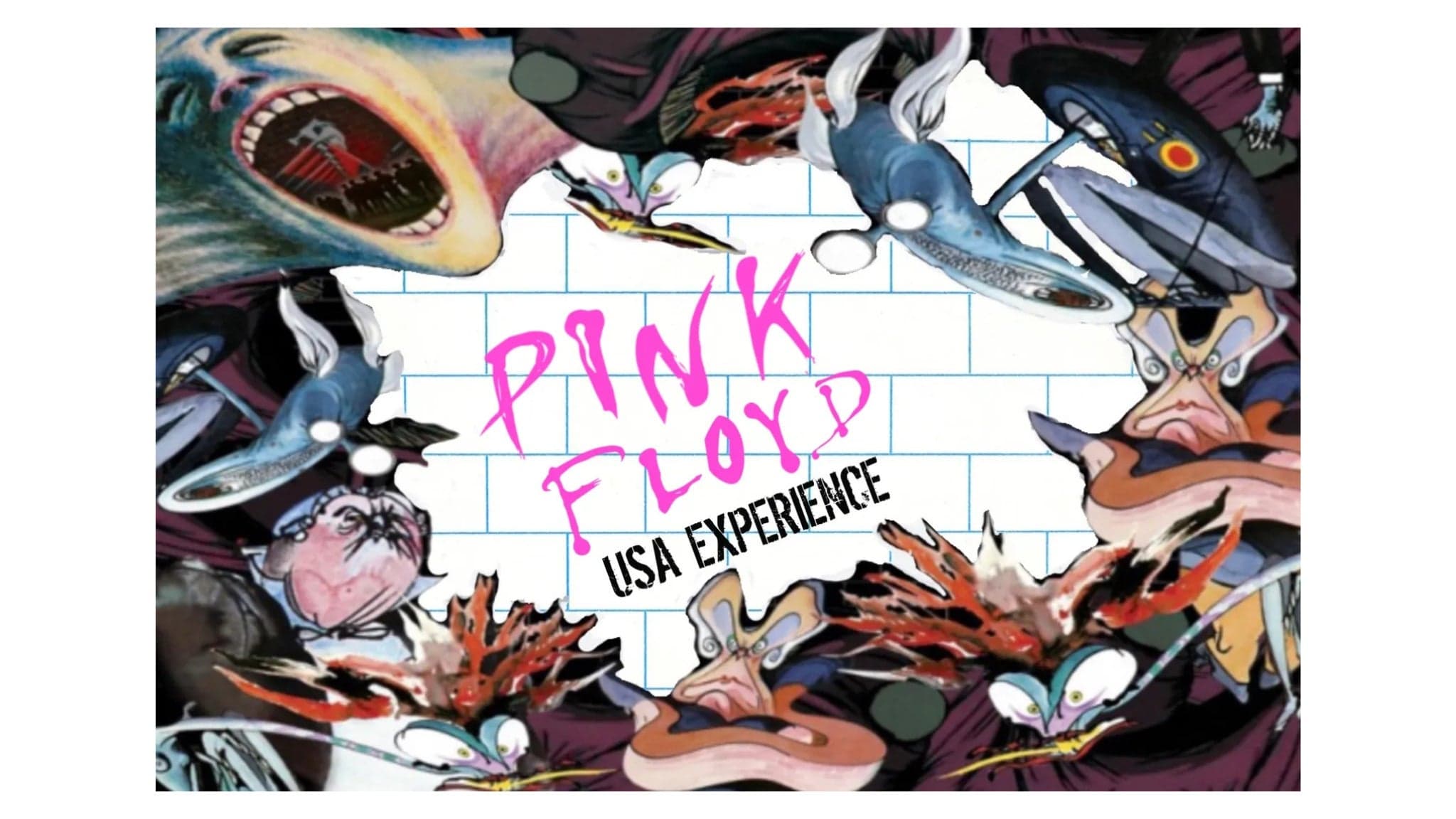 Pink Floyd USA Experience